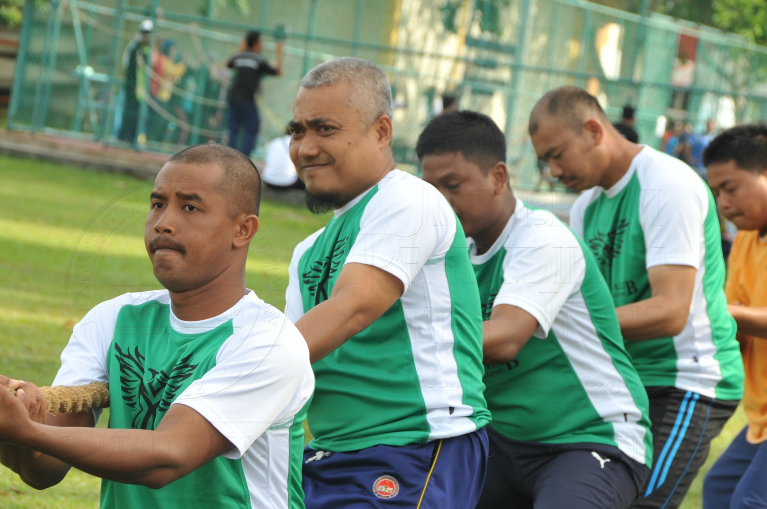 PRO 15 53 KIESTA HAS 5566